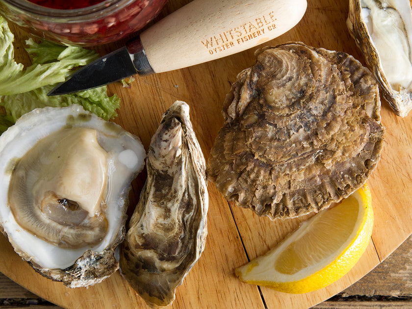 Whitstable Shellfish Whitstable Oysters – Whitstable Oyster Home Delivery