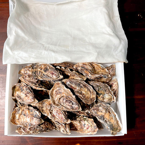 Whitstable Rock Oysters