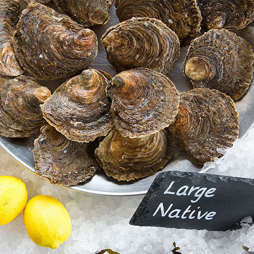 Whitstable Native Oysters